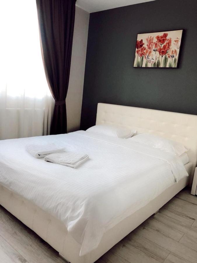 Ns Apartment Cluj-Napoca Buitenkant foto
