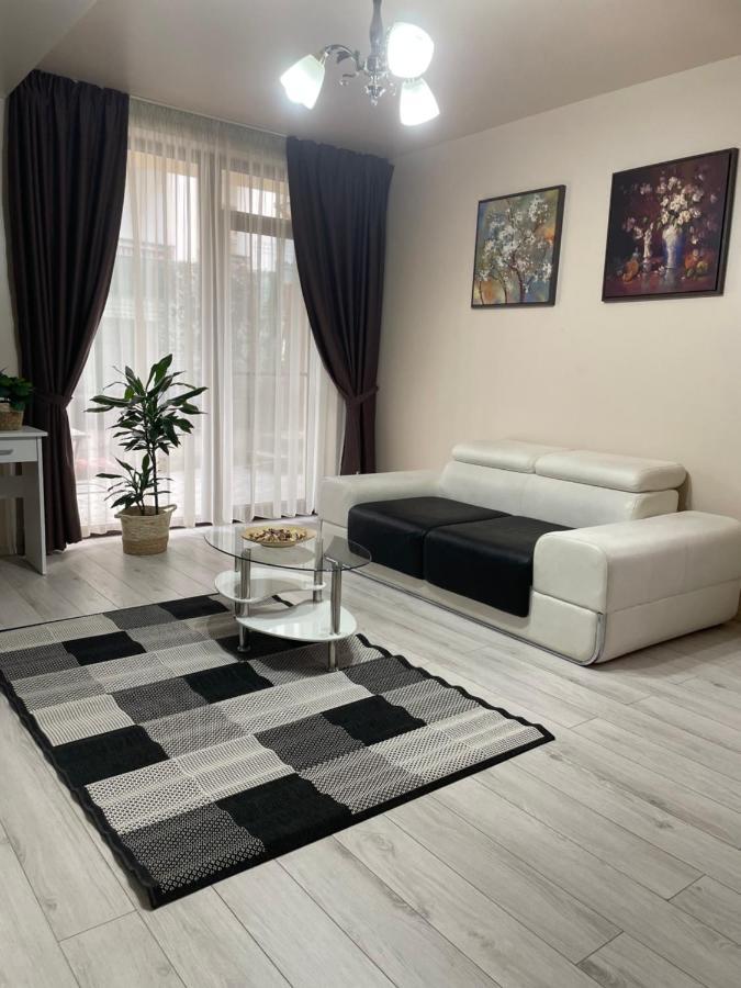 Ns Apartment Cluj-Napoca Buitenkant foto